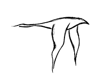 b-all_tiny